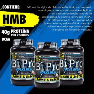 Bipro hmb